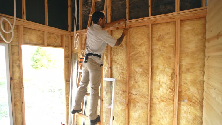 Best Soundproof Insulation  in Port Wentworth, GA