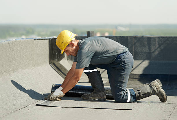 Best Basement Insulation  in Port Wentworth, GA