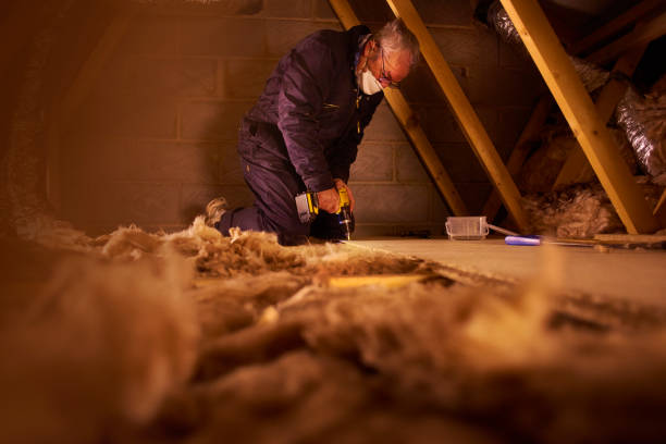 Best Crawl Space Insulation  in Port Wentworth, GA